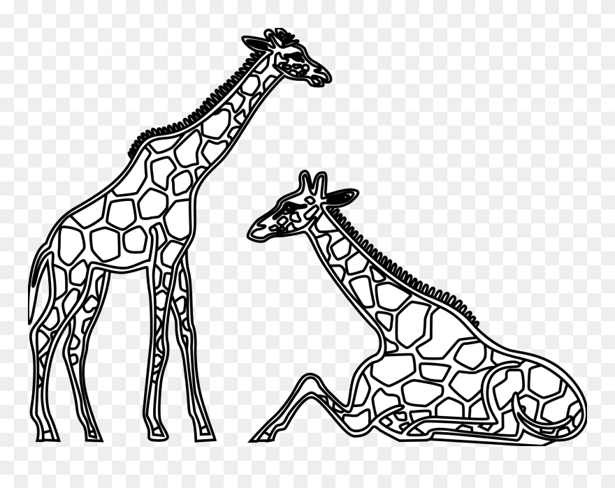 Giraffe Clipart Line Drawing - Giraffe Line Art - Png Download