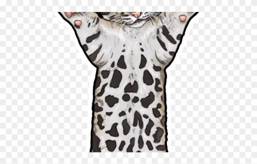 Snow Leopard Clipart Clip Art - Clouded Leopard - Png Download