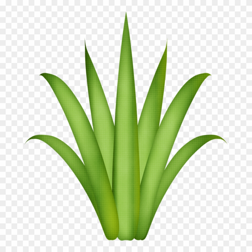 Фотки Flower Clipart, Leaf Template, Tree Leaves, Paper - Festa Tropical Para Imprimir - Png Download