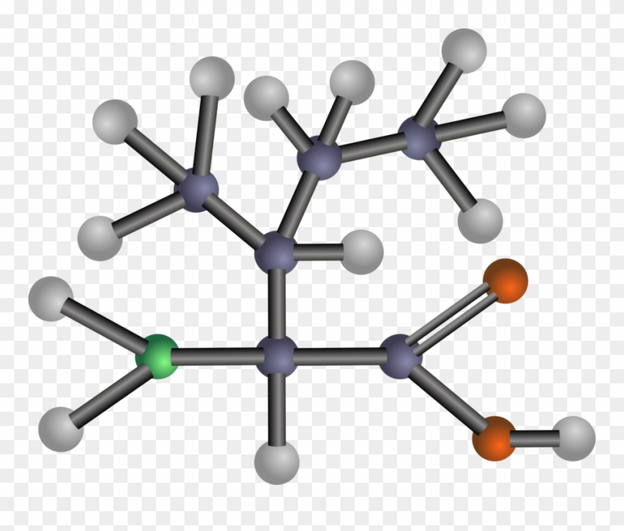 Biochemistry And Applications Valine Isoleucine - Amino Acids: Biochemistry And Applications Clipart