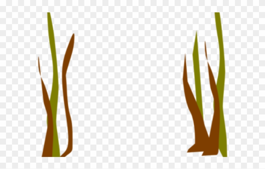 Dry Grass Clipart Prairie Grass - Clip Art - Png Download