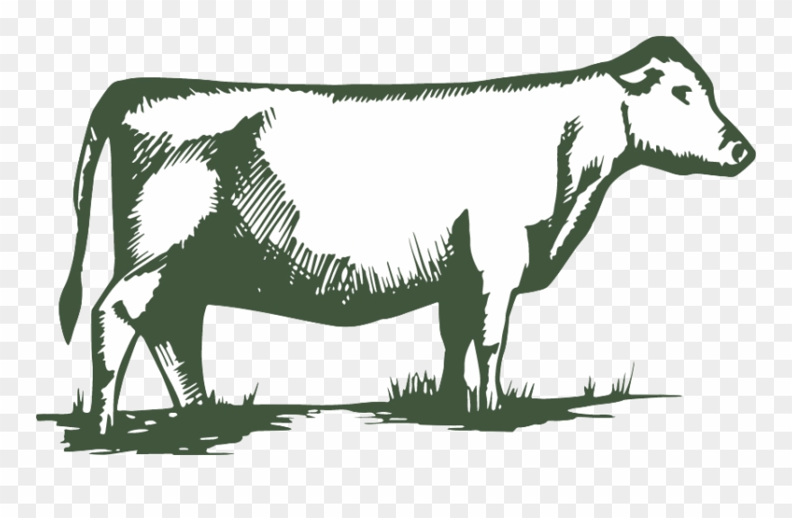 Pasture Clipart Strip Grass - Pasture - Png Download