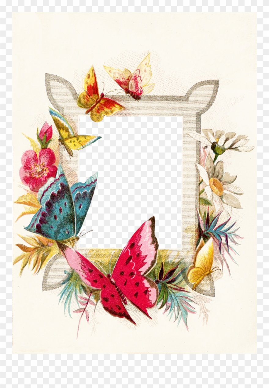 Butterfly Borders And Frames Png Clipart Butterfly - Border Template Ant And Butterfly Transparent Png