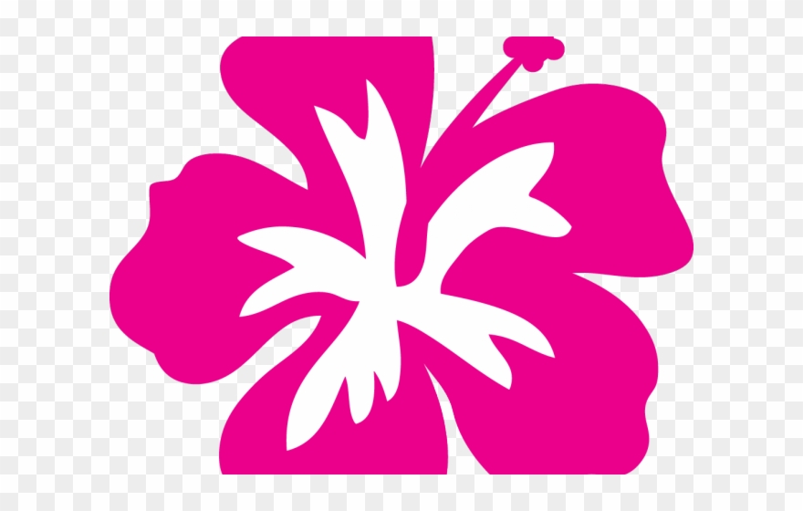 Hawaii Clipart Gumamela - Hawaiian Flower Clipart Png Transparent Png