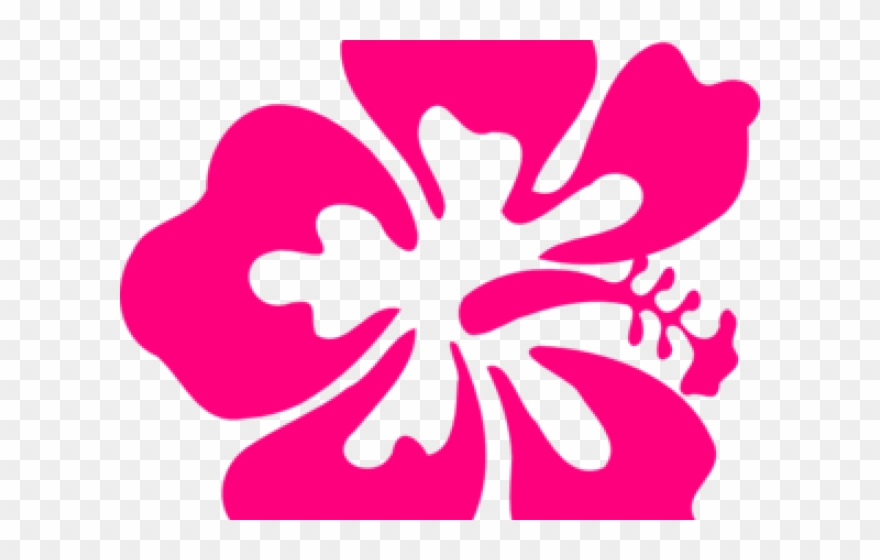 Hawaii Clipart Gumamela - Big Island Tv Logo - Png Download