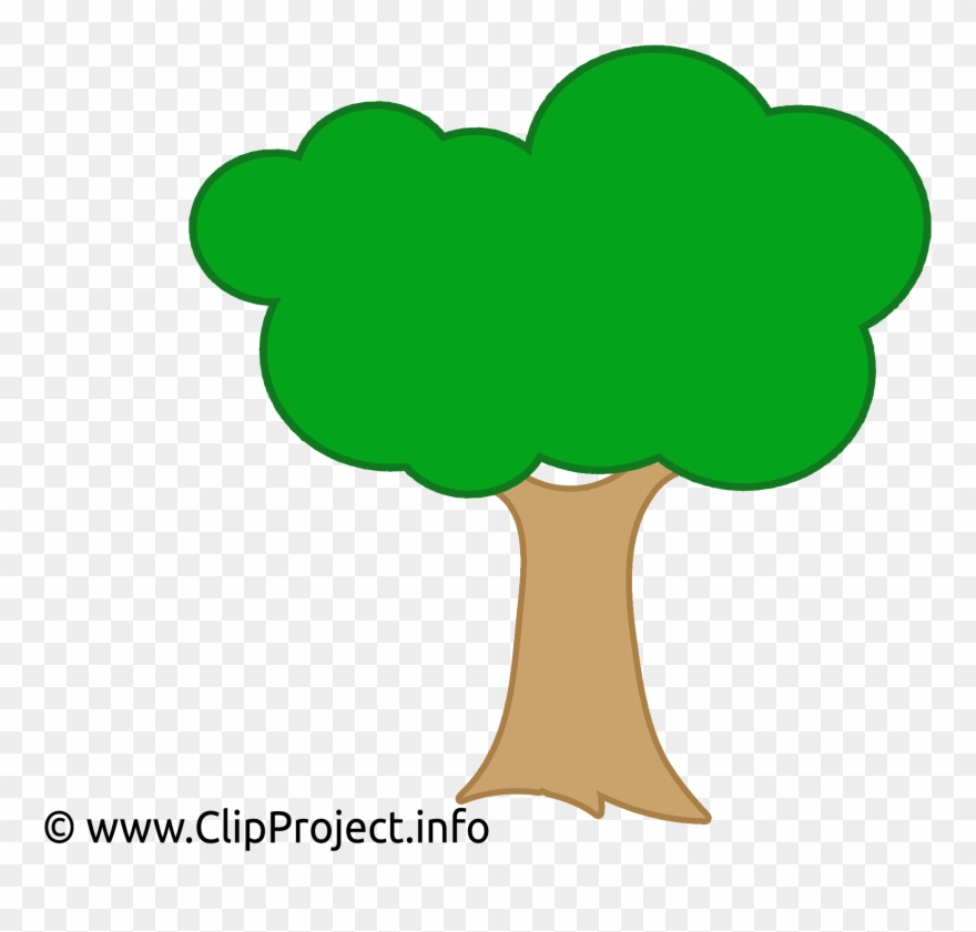 Arvore Vetor Desenho Clipart