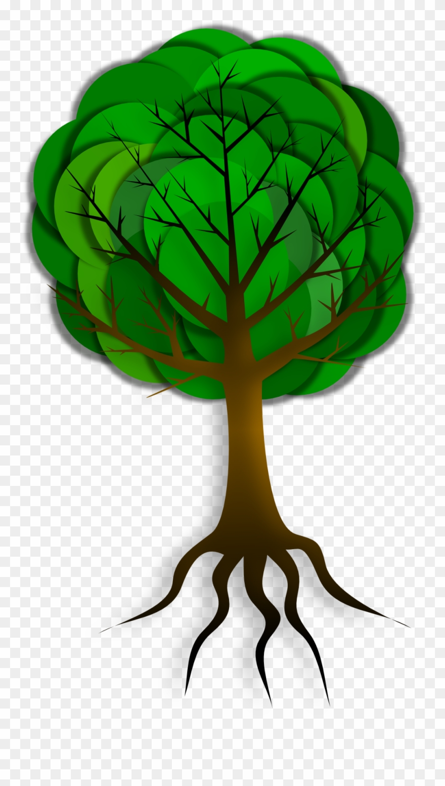 Tree Root Trunk Branch Drawing - Corruption Free India Poster Clipart