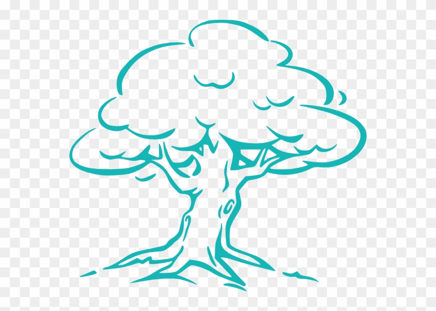 Blank Tree Cartoon Drawing Clipart
