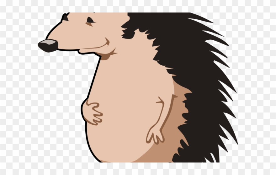 Hedgehog Clipart Clip Art - Png Download