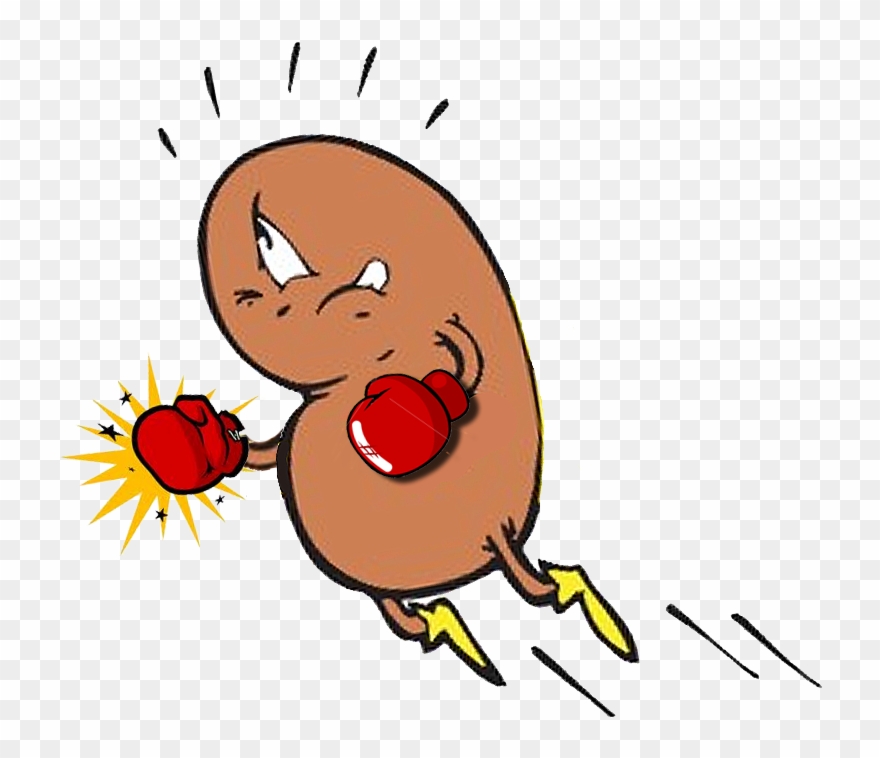 2013 February - Boxing Kidney Clipart