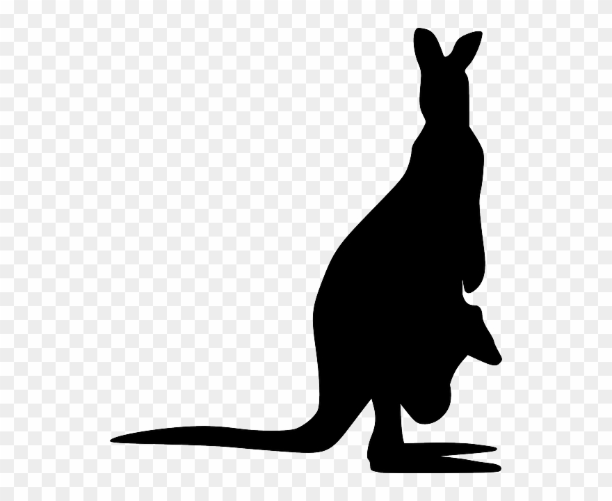 Kangaroo Silhouette Png Clipart Kangaroo Clip Art - Kangaroo Silhouette Clip Art Transparent Png