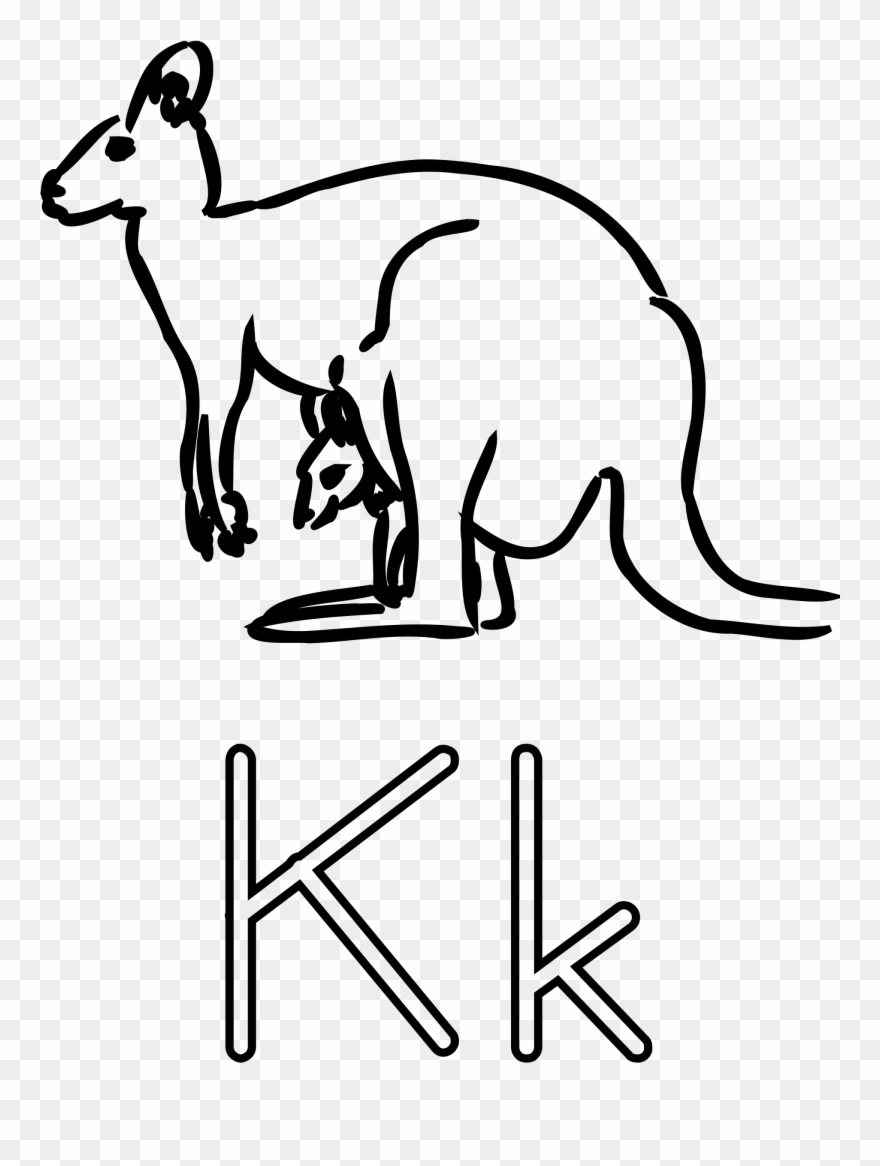 Kangaroo Clipart Coloring - Kangaroo Clipart - Png Download