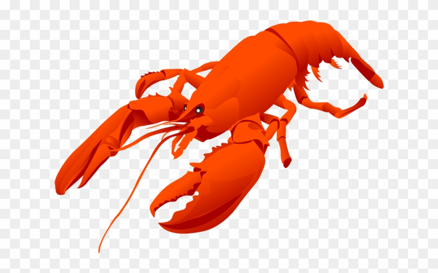 Clip Art Lobster Clipart Clipart Clipartix With Lobster - Lobster Vector - Png Download