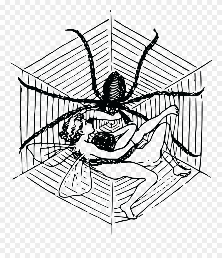 Free Clipart Images - Spider And Web Drawing - Png Download