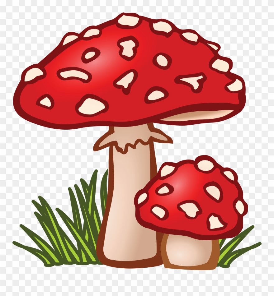 Free Clipart Of Mushrooms - Mushroom Clipart - Png Download