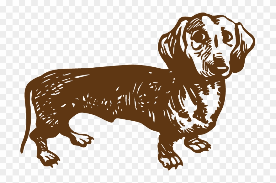 Dachshund-converted Clipart