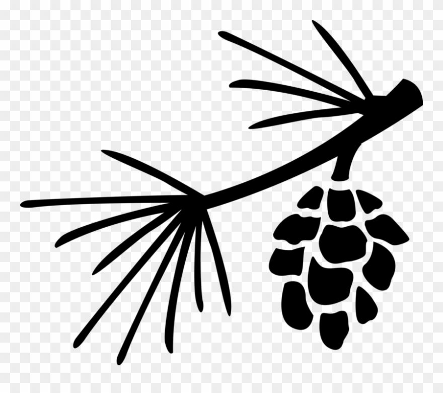 Vector Illustration Of Botanical Horticulture Plant Clipart