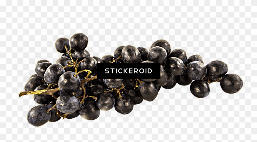 Grape Clipart