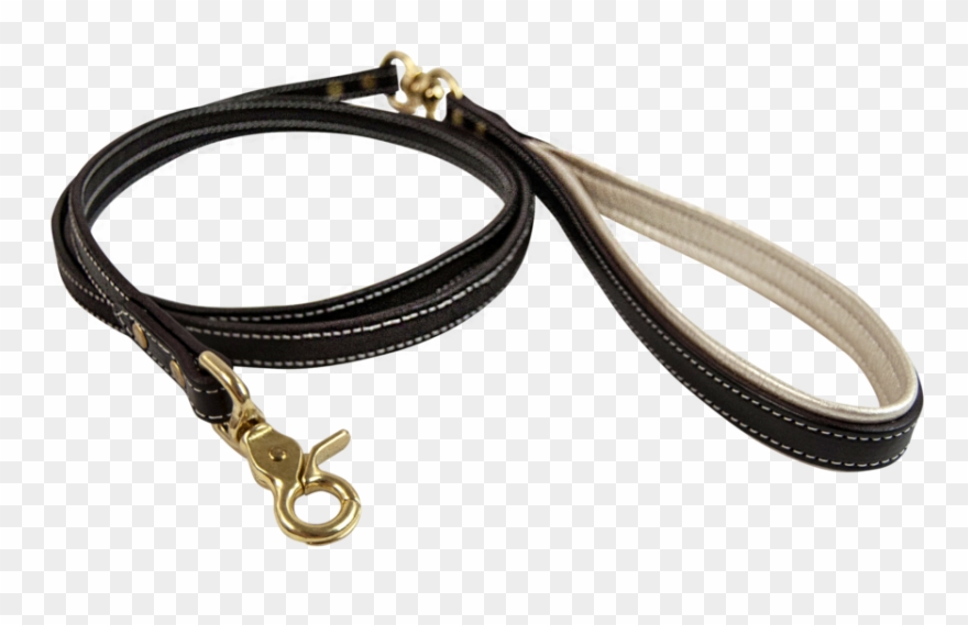 Dog Leash Png Clipart
