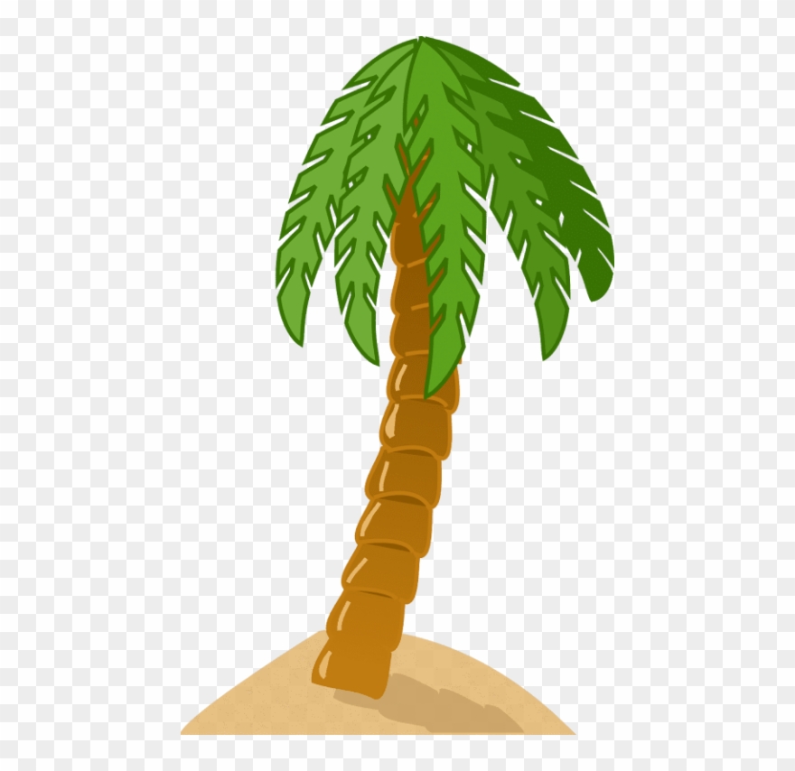 Free Png Download Palm Tree Png Images Background Png Clipart