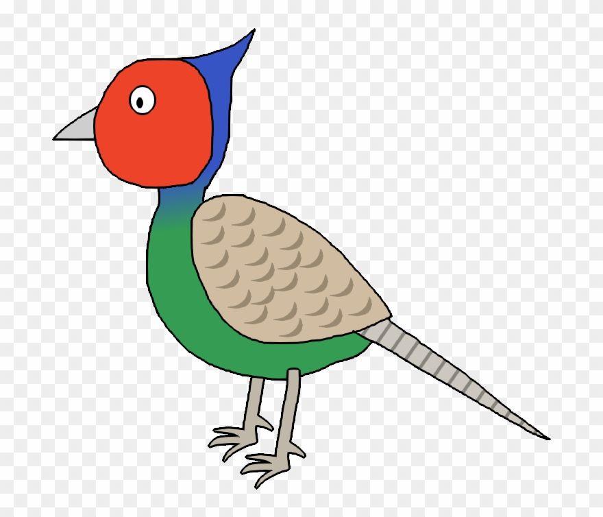 Green Pheasant / Clipart