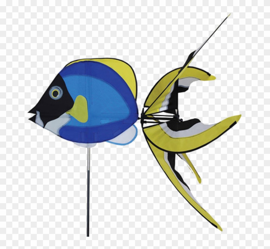 Powderblue Surgeon Fish Spinner Clipart
