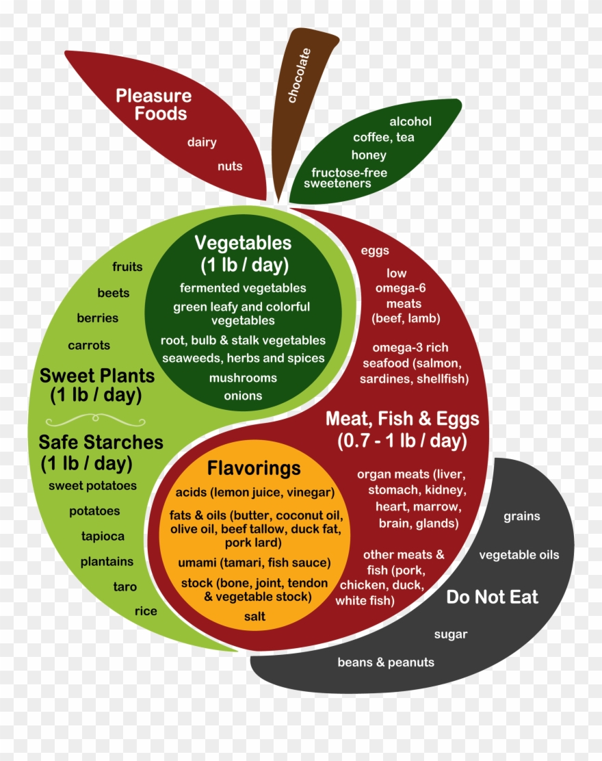 Soybean Drawing Soya Bean Clipart