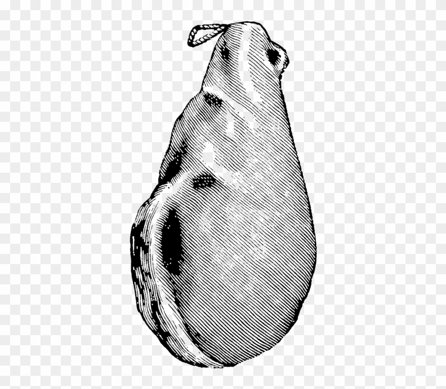 Encyclopedia Junebaby Ham Clipart