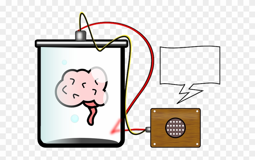 The Human Brain Clipart