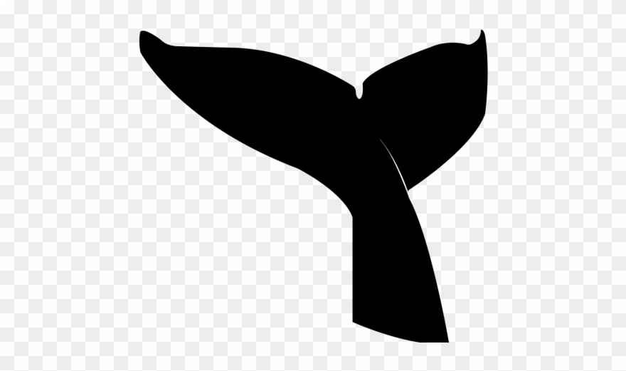 Sperm Whale Clipart Tale - Png Download