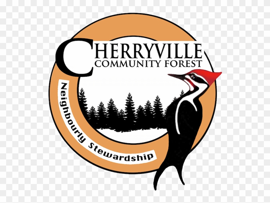 Png Black And White Library Committee Correspondence Clipart