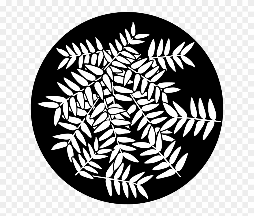 Apollo Ash Branches Gobo Clipart