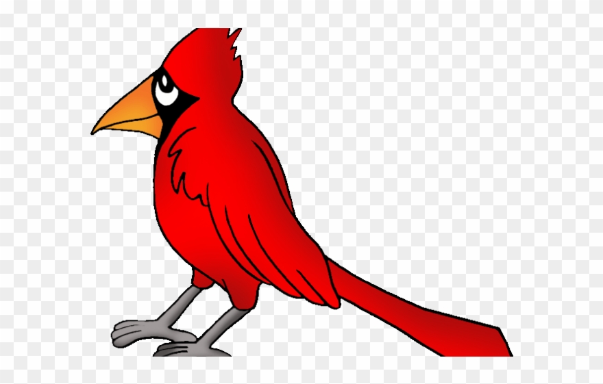 Cardinal Clipart Kentucky - Png Download