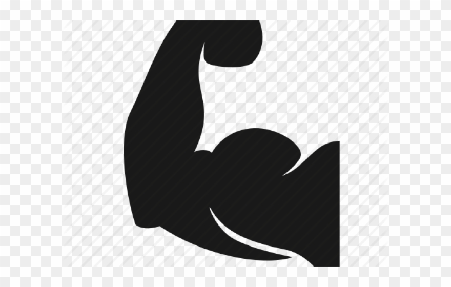 Bodybuilding Clipart Health Related Fitness - Png Download