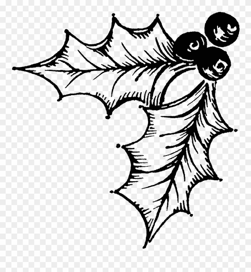 Holly Illustration Clipart