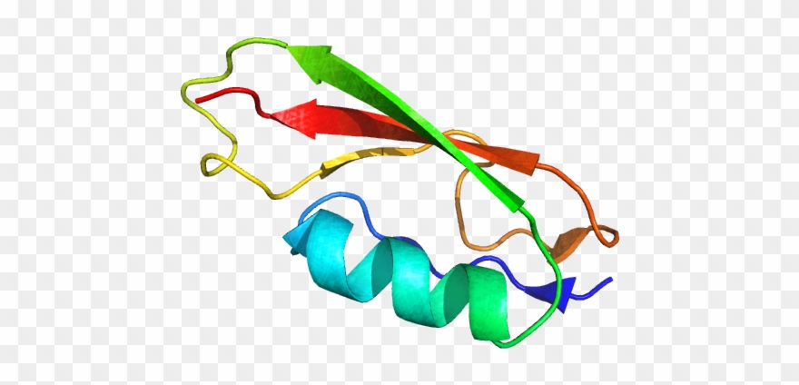 Pasta Domain Clipart