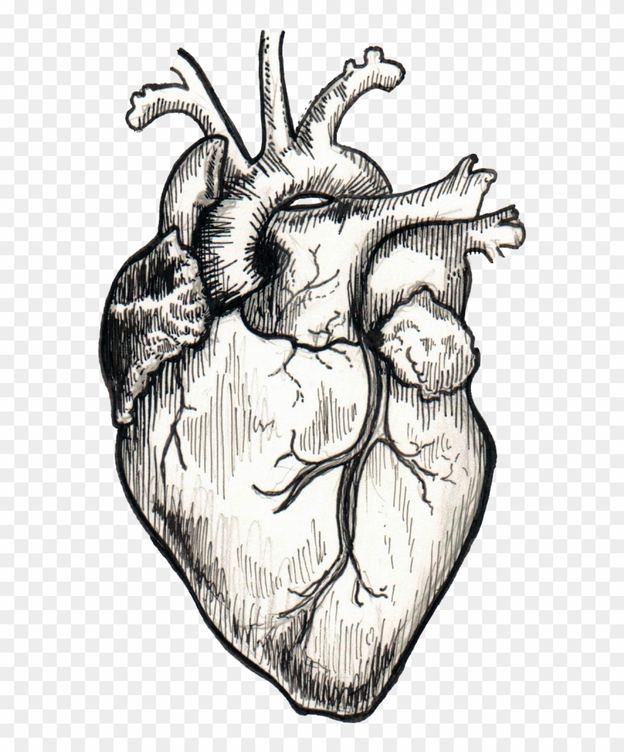 Blanket Vector Sketch Clipart