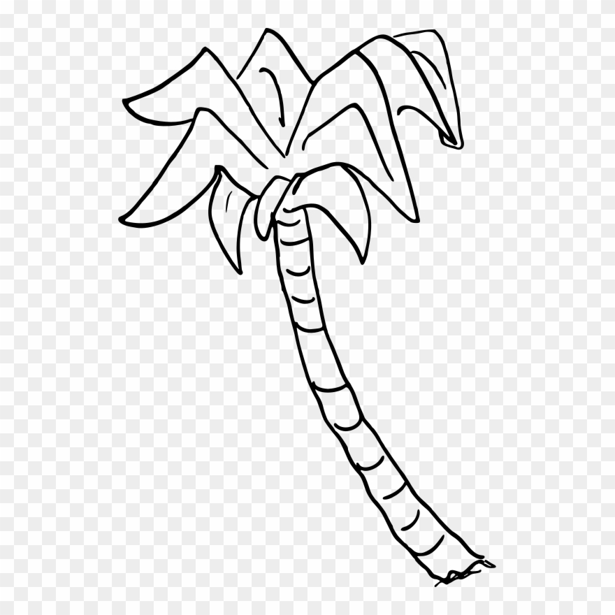 Clipart Palm Tree - Png Download