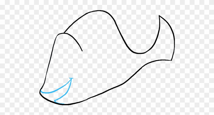 How To Draw Dory Clipart