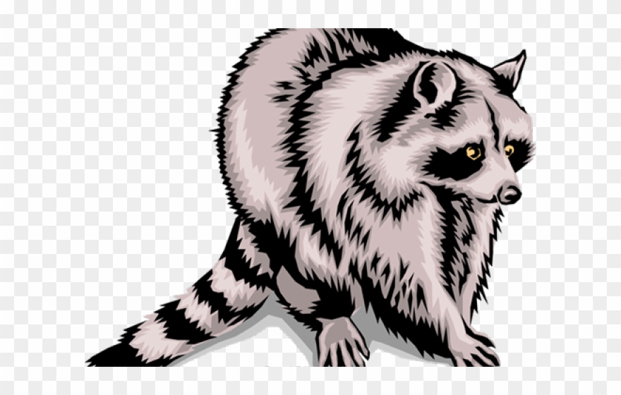 Raccoon Clipart Vertebrate - Png Download