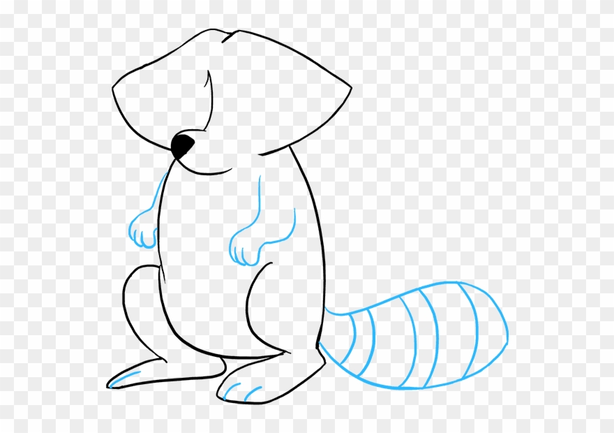 How To Draw Raccoon Clipart