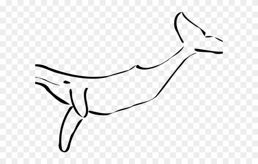 Humpback Whale Clipart Tail - Png Download