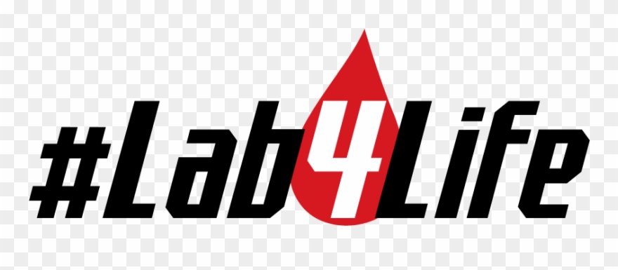 Beyond Meeting This Public Need, The Celebration Of Clipart