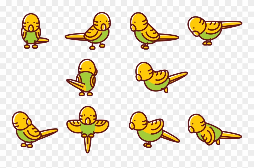 Budgie Cartoon Vectors Clipart