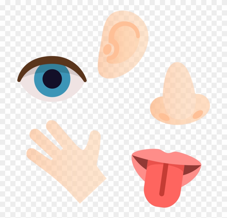 Putting Tactile Learning In Play Clipart