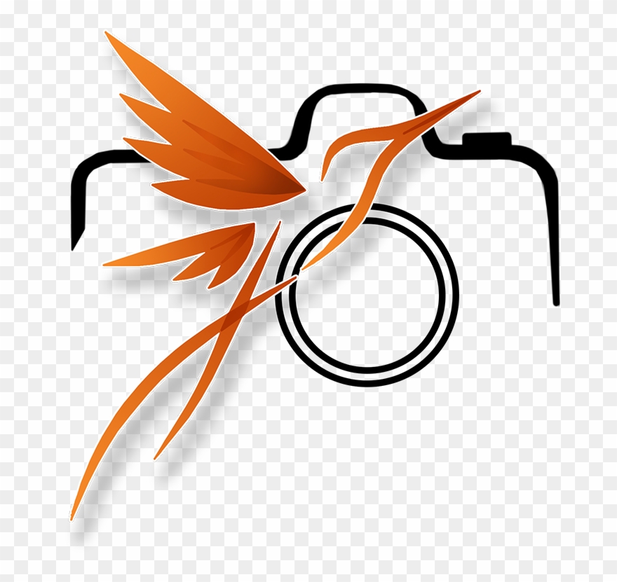 #107097547, Birds, Png V Clipart
