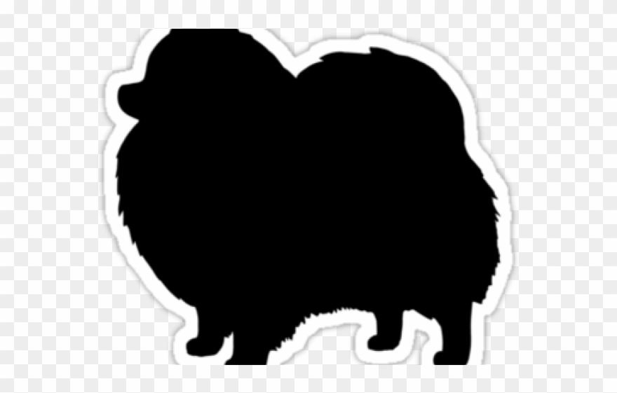 Pomeranian Clipart Transparent - Png Download