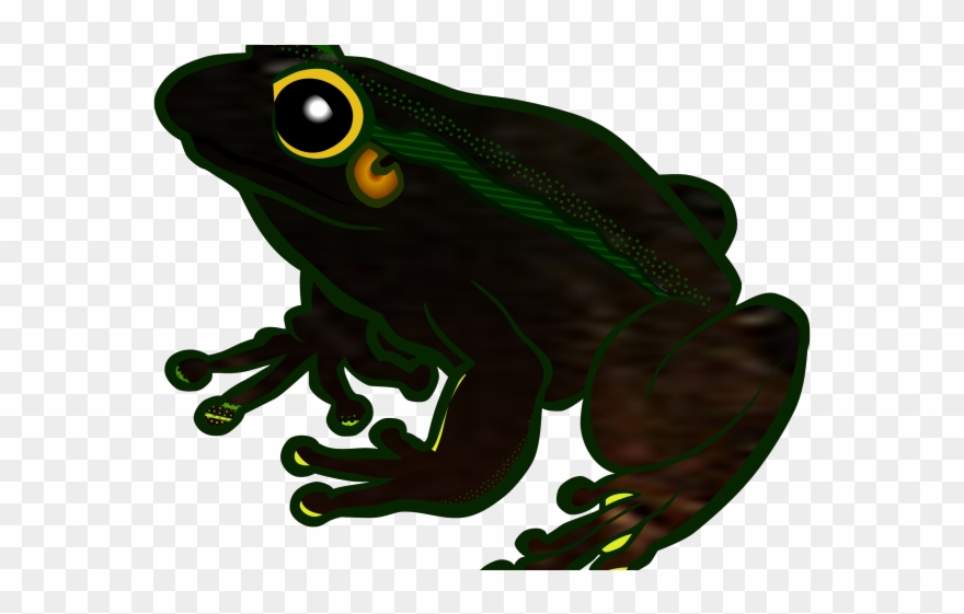 Tree Frog Clipart Transparent - Png Download