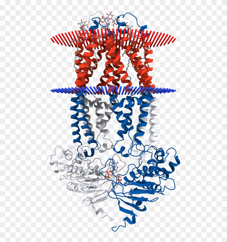 Transmembrane Regions Opm Clipart
