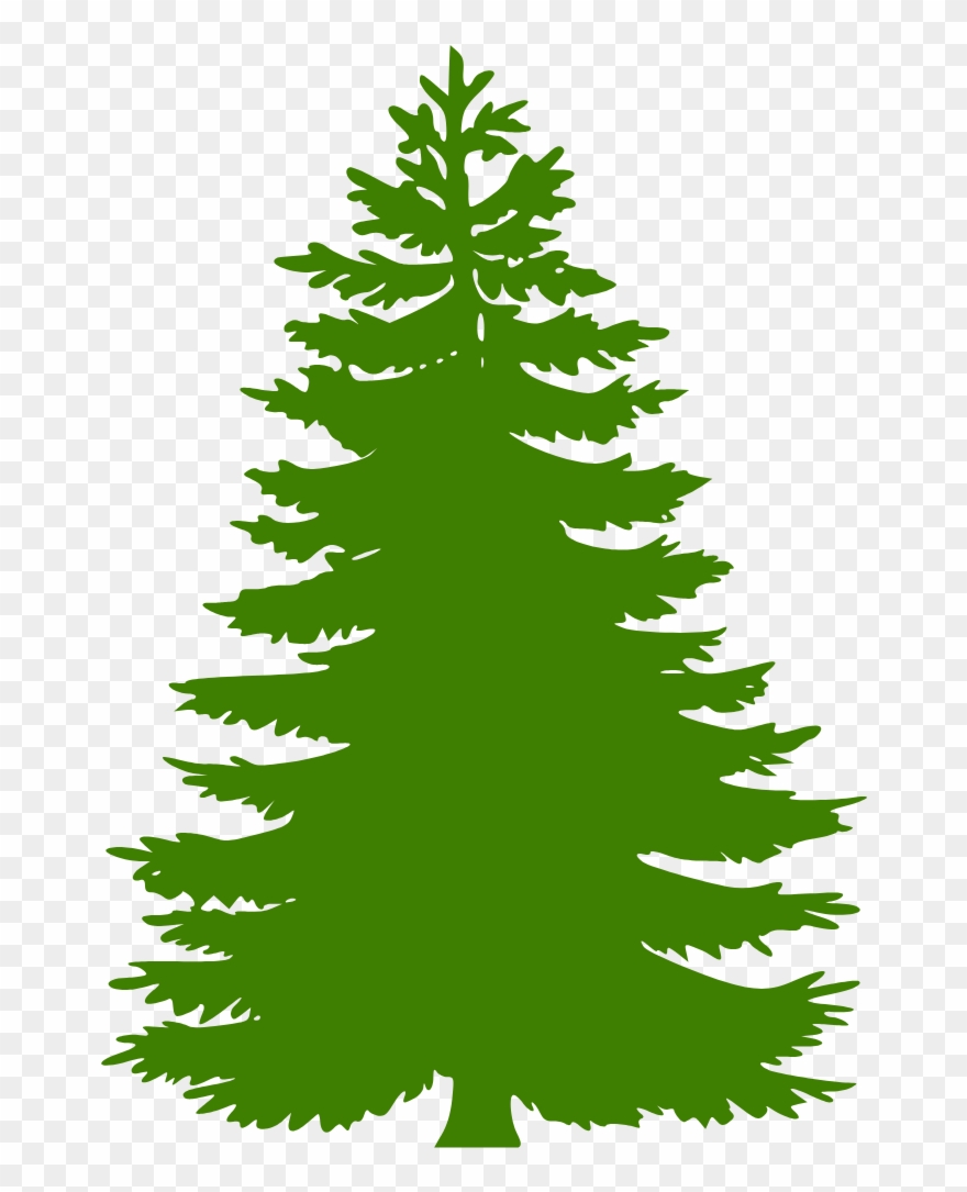 Fir Tree Clipart Camp - Png Download